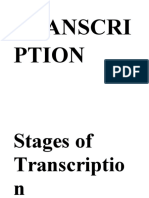 Stages of Transcription Process