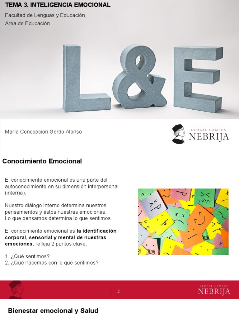 Comprendiendo la Inteligencia Emocional | PDF | Las emociones ...