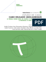 Cabo Delgado (Moçambique) : Estudo de Caso