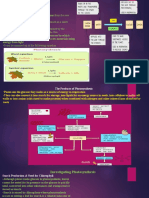 PPT PHOTOSYNTHESIS (1) (1)