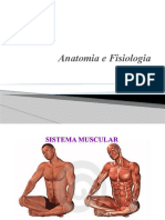 Anatomia e Fisiologia: Sistema Muscular