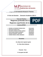 Informe 4 - Anatomía Ii - Ep034