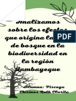 Analizamos Sobre Los Efectos Que Origina La Tala de Bosque en La Biodiversidad en La Región Lambayeque