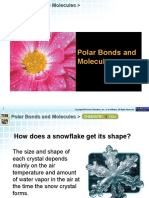 Polar Bonds and Molecules