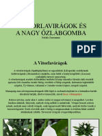 A Vitorlavirágok És A Nagy Őzlábgomba: Boldis Zsuzsanna