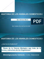 Introduccion A La Anatomia Veterinaria