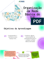 ORG. da REDE BÁSICA DO SUS - AULA 4 ONLINE