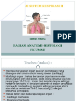 Anatomi Sistem Respirasi 2-1