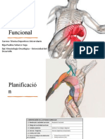 Anatomia Funcional