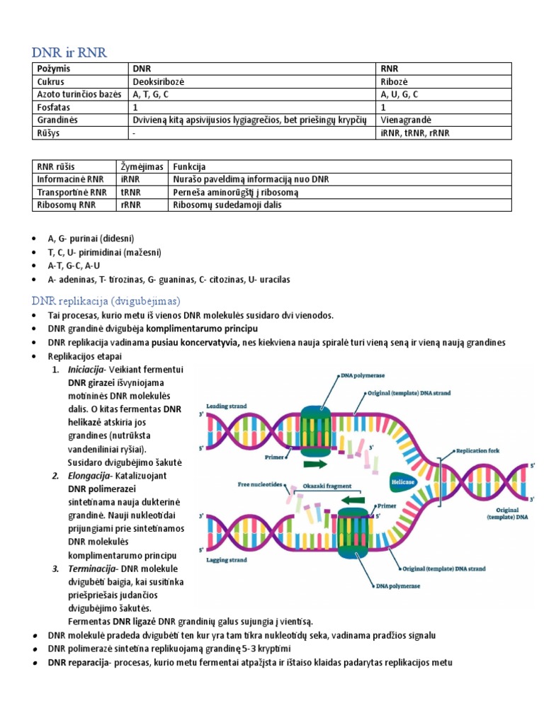 DNR Ir RNR | PDF