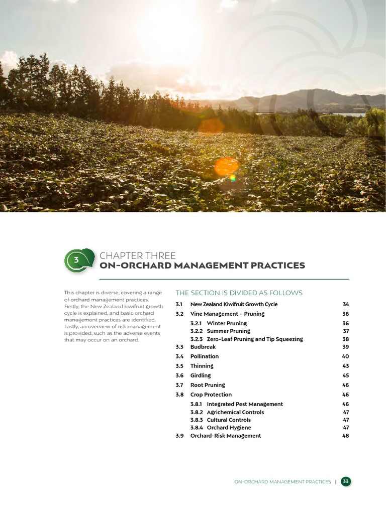 Kiwifruit Orchard Management Guide | PDF | Pollination | Pruning