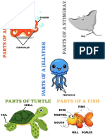 Parts of Marine Species