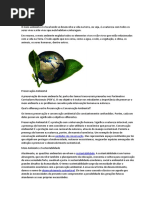 Meio Ambiente Sem Formatação