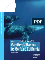 Mamíferos Marinos Del Golfo de California