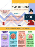 Patología Obstétrica: Grupo:5