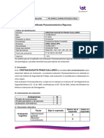 Código Evaluación PSI.040011.03648.07032023.03 (A) : I. Datos de Identificación Cristian Augusto Prado Gallardo