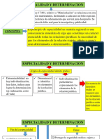 Unidad 6 - Especialidad y Determinacion - Parte 2 - Derecho Transporte