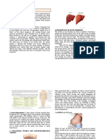 NDT Lab - Finals (Transes)