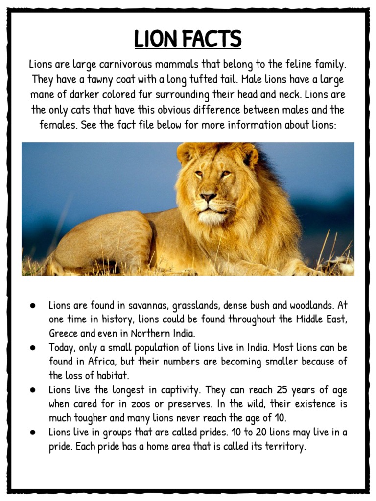 Lion guide: species facts and where they live in the wild