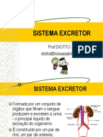 Sistema Excretor: Prof Diotto Diotto@
