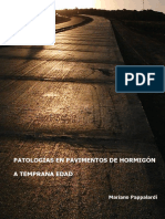 Patologías en Pavimentos de Hormigón A Temprana Edad: Mariano Pappalardi