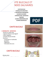 Cavite Buccale Et Glandes Salivaires