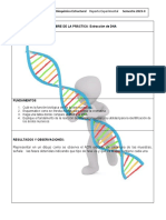 Bioquímica General / Bioquímica Estructural Reporte Experimental Semestre 2023-II