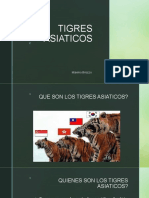 Tigres Asiaticos: Máximo Briozzo
