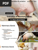 L-02 - Evaluation of Mammary Glands