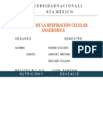 Esquema de La Respiración Celular Anaerobica: Universidadnacionali Sta México