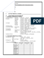 Pauta de Observación Fonoaudiológica Idtel