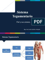 Anatomofisiologa Sistema Tegumentario