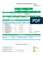 Reporte 40910 Detalle Ejecucionservicio