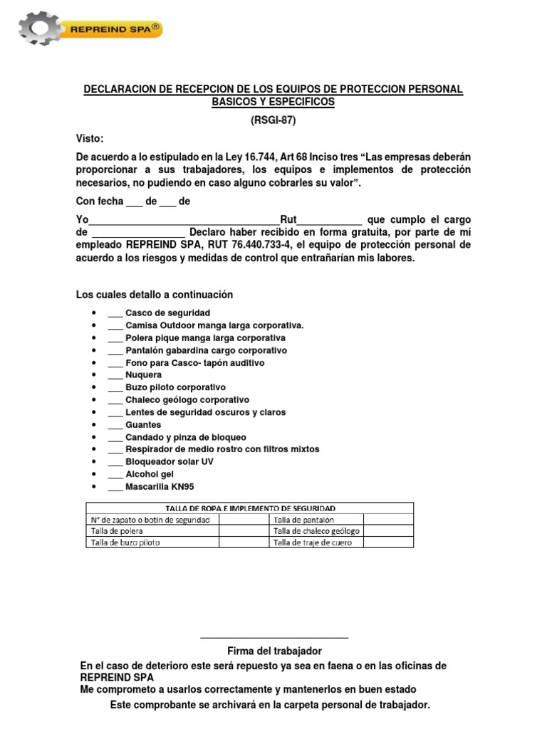 Recepcion de Epp | PDF