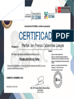 CertificadoTRABAJO ALTURA