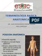Posición anatómica y términos corporales