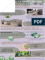 Infografía Proceso Creativo Orgánica Divertida A Mano Crema Pastel