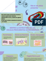 Estructura Celular de Los Procariontes: Esto Es Una Célula Procariota
