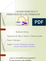 Modificacion Genetica Y Derechos de Los Animales