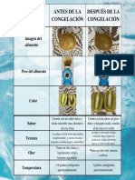 Congelación de Alimento Yss