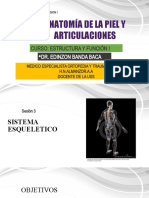 Anatomía de La Piel Y Articulaciones: Curso: Estructura Y Función I