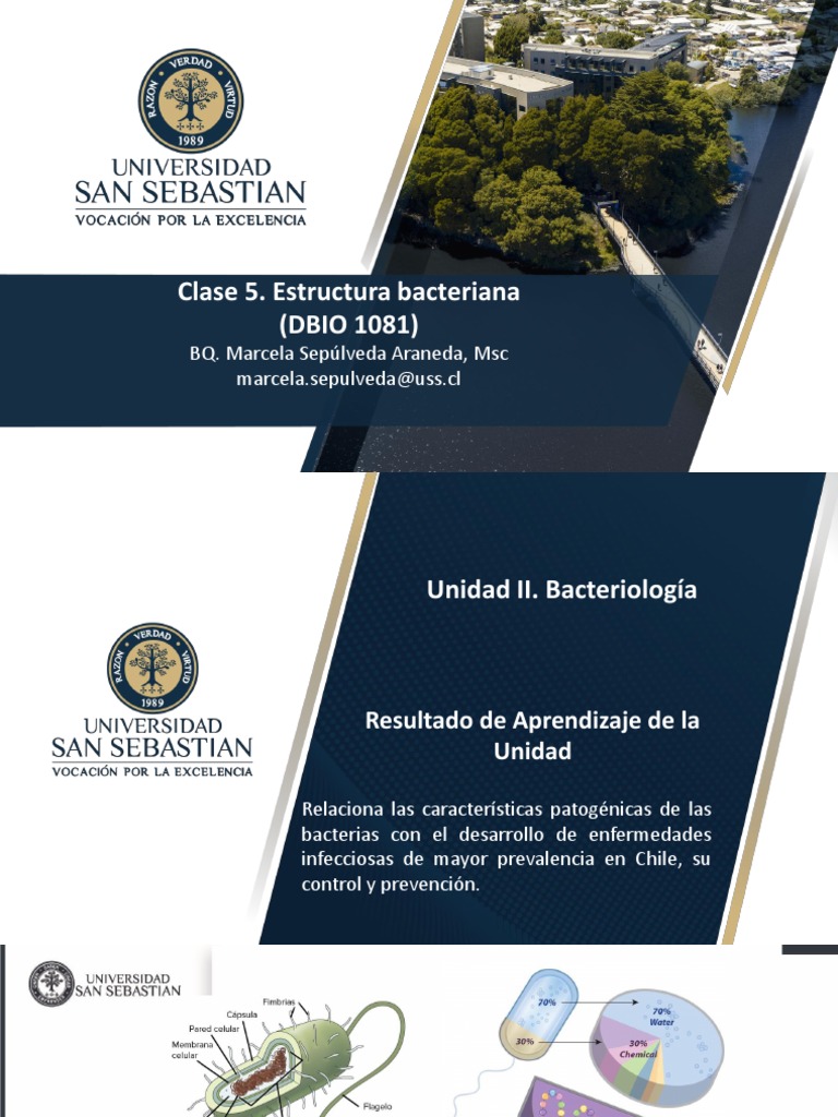 Estructura y funciones de bacterias | PDF | Las bacterias | Membrana ...
