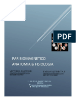 Anatomia & Fisiologia