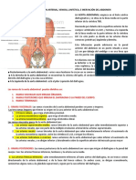 Circulación Arterial Del Abdomen