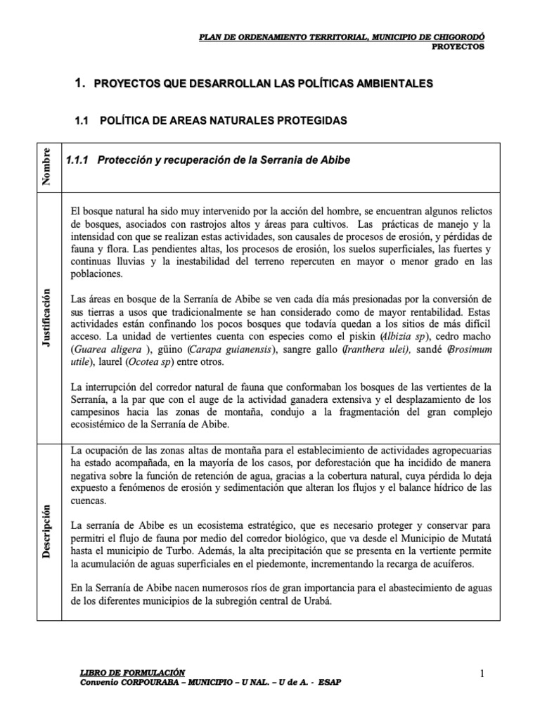 Protector Cartas La Herramienta De Clasificación De Centrad
