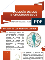 Biología de Los Microorganismos: PROFESOR TITULAR: Lic. René Vergara