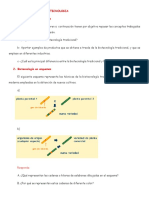 Trabajo Practico Biotecnologia