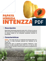Ficha Tecnica Papaya Intenzza Life Seed