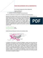 Factores Fisiológicos Relacionados Con La Absorcion de Fármacos