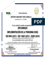 Anthony Gregorio Toro Carrillo: Identificado (A) Con C.I. 1316504321